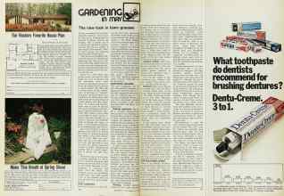 Better Homes & Gardens May 1973 Magazine Article: GARDENING IN MAY