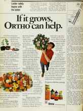 Better Homes & Gardens June 1973 Magazine Article: Ladder safety begins with the ladder