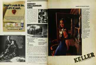 Better Homes & Gardens June 1973 Magazine Article: Page 32