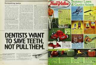Better Homes & Gardens June 1973 Magazine Article: Page 74