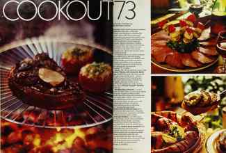 Better Homes & Gardens June 1973 Magazine Article: Page 88