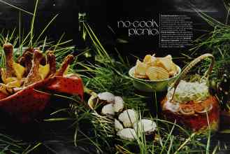 Better Homes & Gardens June 1973 Magazine Article: Page 96