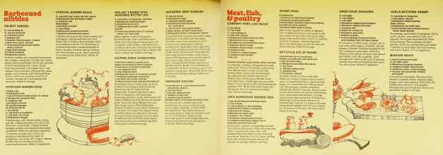 Better Homes & Gardens June 1973 Magazine Article: Page 102