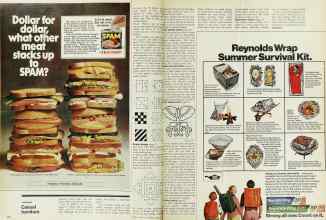 Better Homes & Gardens June 1973 Magazine Article: Page 146