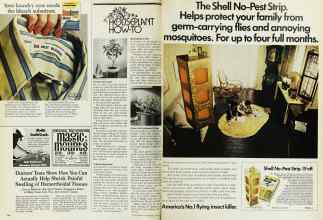 Better Homes & Gardens June 1973 Magazine Article: Page 166