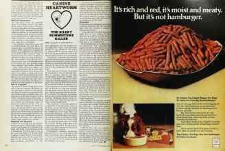 Better Homes & Gardens June 1973 Magazine Article: Page 170