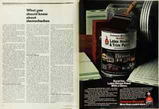 Better Homes & Gardens July 1973 Magazine Article: Page 10