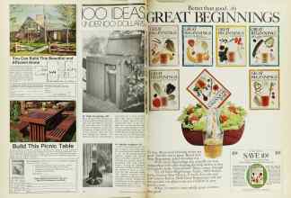 Better Homes & Gardens July 1973 Magazine Article: Page 58