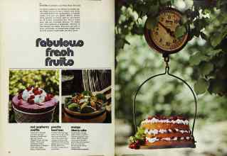 Better Homes & Gardens July 1973 Magazine Article: Page 82