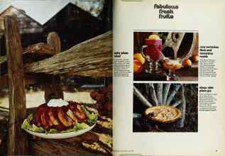 Better Homes & Gardens July 1973 Magazine Article: Page 86