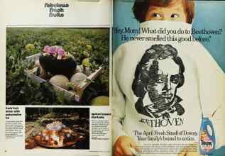 Better Homes & Gardens July 1973 Magazine Article: Page 88