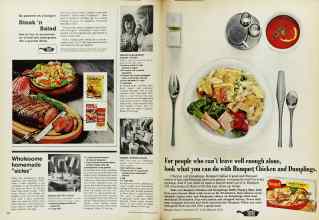 Better Homes & Gardens July 1973 Magazine Article: Page 100