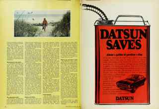 Better Homes & Gardens July 1973 Magazine Article: Page 118