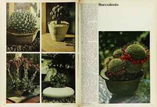 Better Homes & Gardens August 1973 Magazine Article: Page 40
