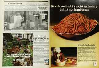 Better Homes & Gardens August 1973 Magazine Article: Page 52