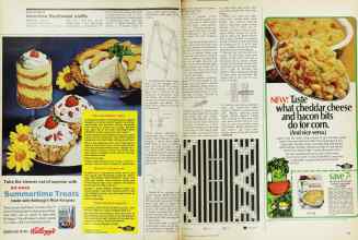Better Homes & Gardens August 1973 Magazine Article: Page 102