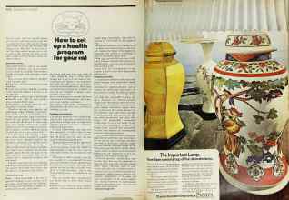 Better Homes & Gardens September 1973 Magazine Article: Page 64