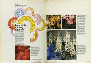 Better Homes & Gardens September 1973 Magazine Article: Perennials for long run color