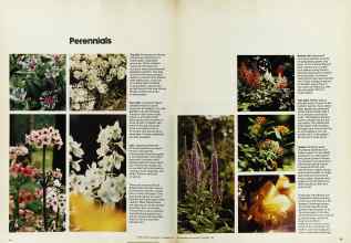 Better Homes & Gardens September 1973 Magazine Article: Page 94