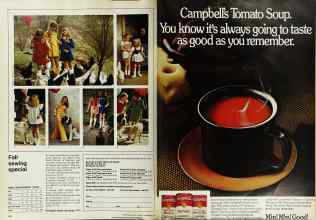 Better Homes & Gardens September 1973 Magazine Article: Page 108