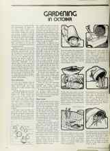 Better Homes & Gardens October 1973 Magazine Article: GARDENING IN OCTOBER