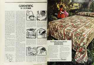 Better Homes & Gardens October 1973 Magazine Article: Page 68