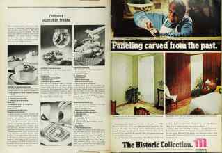 Better Homes & Gardens October 1973 Magazine Article: Page 164