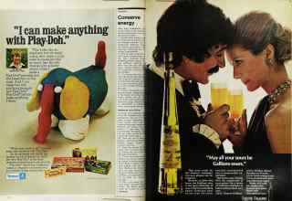 Better Homes & Gardens November 1973 Magazine Article: Page 40