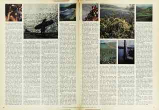 Better Homes & Gardens January 1974 Magazine Article: Page 88