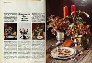 Better Homes & Gardens February 1974 Magazine Article: Houseplants that come to dinner