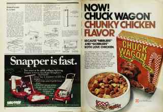 Better Homes & Gardens March 1974 Magazine Article: Page 74