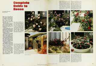 Better Homes & Gardens March 1974 Magazine Article: Complete Guide to Roses