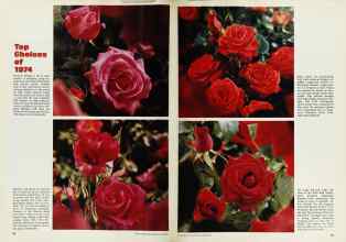 Better Homes & Gardens March 1974 Magazine Article: Top Choices of 1974