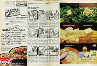 Better Homes & Gardens March 1974 Magazine Article: How to plant and care for roses