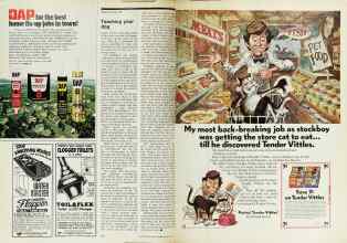 Better Homes & Gardens March 1974 Magazine Article: Page 154