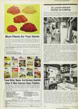 Better Homes & Gardens April 1974 Magazine Article: An unconventional kitchen remodeling