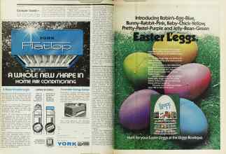 Better Homes & Gardens April 1974 Magazine Article: Page 38