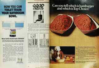 Better Homes & Gardens April 1974 Magazine Article: Page 60