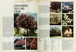 Better Homes & Gardens April 1974 Magazine Article: UNDEMANDING TREES AND SHRUBS
