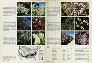 Better Homes & Gardens April 1974 Magazine Article: Page 82