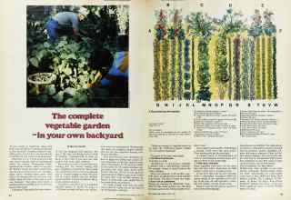 Better Homes & Gardens April 1974 Magazine Article: The complete vegetable garden--in your own backyard