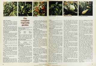 Better Homes & Gardens April 1974 Magazine Article: Page 86