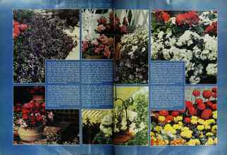 Better Homes & Gardens May 1974 Magazine Article: Page 48