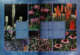 Better Homes & Gardens May 1974 Magazine Article: Page 50