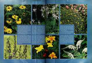 Better Homes & Gardens May 1974 Magazine Article: Page 52