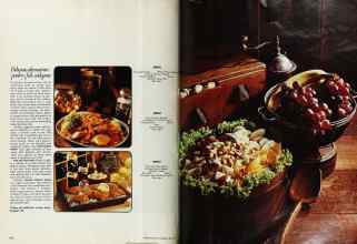 Better Homes & Gardens May 1974 Magazine Article: Page 102