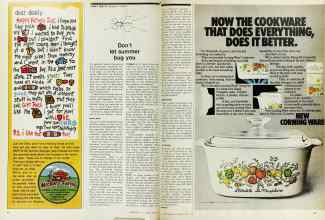 Better Homes & Gardens June 1974 Magazine Article: Don't let summer bug you