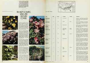 Better Homes & Gardens June 1974 Magazine Article: PROBLEM-SOLVING VINES AND GROUND COVERS
