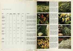 Better Homes & Gardens June 1974 Magazine Article: Page 66