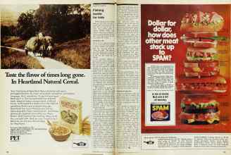 Better Homes & Gardens June 1974 Magazine Article: Page 104